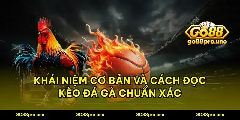 Khái niệm cơ bản và cách đọc kèo đá gà chuẩn xác
