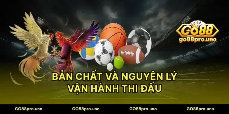Bản chất và nguyên lý vận hành thi đấu