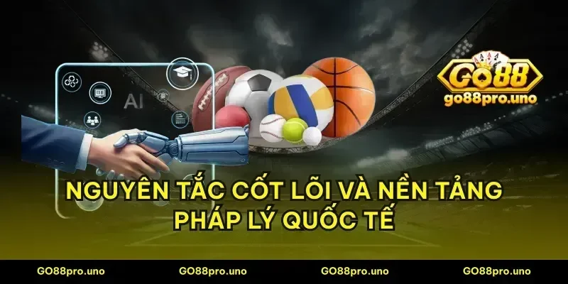 Nguyên tắc cốt lõi và nền tảng pháp lý quốc tế